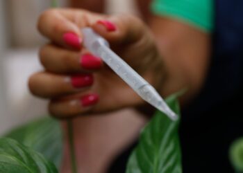 São Paulo se aproxima de 300 mil casos confirmados de dengue