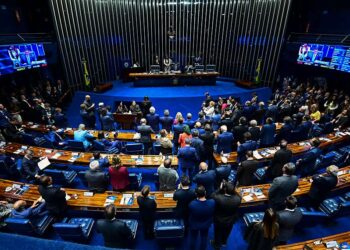 Senado votará projetos de combate a violências contra mulheres e idosos — Senado Notícias