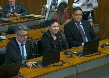 Brasil deve produzir relatório unificado, decide CDH — Senado Notícias