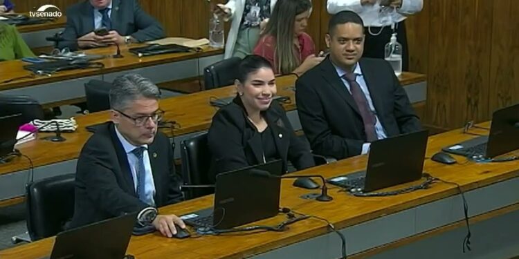 Brasil deve produzir relatório unificado, decide CDH — Senado Notícias