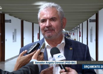 Angelo Coronel explica possíveis ajustes no Vale-Gás e no Pé-de-Meia — Senado Notícias