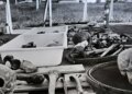 Estado brasileiro pede desculpas por negligência com ossadas de Perus