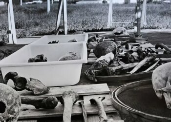 Estado brasileiro pede desculpas por negligência com ossadas de Perus