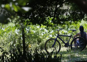 Outono começa com previsão de temperaturas acima de média