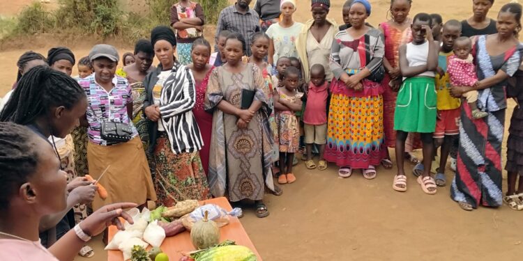 Projeto estimula criação de insetos como fonte de proteína em Uganda