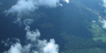 Petrobras comprará R$ 450 milhões em créditos de carbono na Amazônia