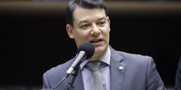 Proposta cria selo para cidades com uma árvore por habitante – Notícias