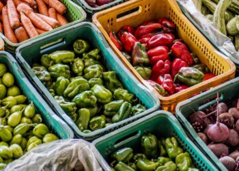 Cúpula se encerra na França com US$ 27,55 bilhões para nutrição