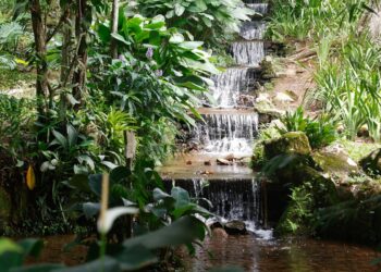 Sistema de água com mais de 200 anos abastece Jardim Botânico do Rio