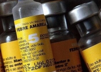 Estado de SP registra 20 mortes por febre amarela desde dezembro