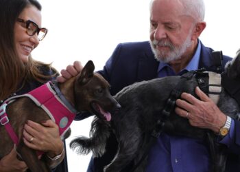 Lula lança programa de identificação e proteção de cães e gatos