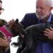 Lula lança programa de identificação e proteção de cães e gatos