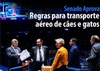 regras para transporte aéreo de cães e gatos — Senado Notícias