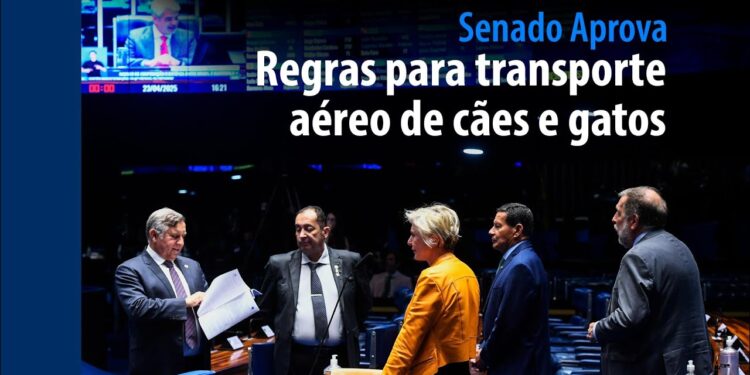 regras para transporte aéreo de cães e gatos — Senado Notícias