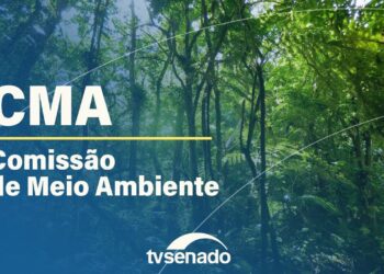Comissão de Meio Ambiente analisa prevenção de desastres – 29/4/25 — Senado Notícias