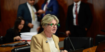 CMA aprova regras para o transporte aéreo de cães e gatos — Senado Notícias