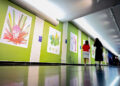Senado inaugura exposição ‘Brasil Aflora’, com ilustrações de flores nativas — Senado Notícias