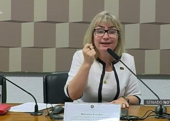 CE recebe sugestões sobre investimentos e democratização do ensino — Senado Notícias