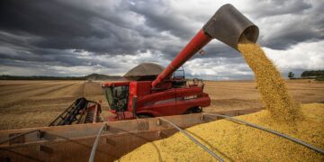 Após primeiras colheitas, Conab confirma estimativa de safra recorde