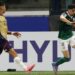Palmeiras derrota Cerro para permanecer 100% na Libertadores