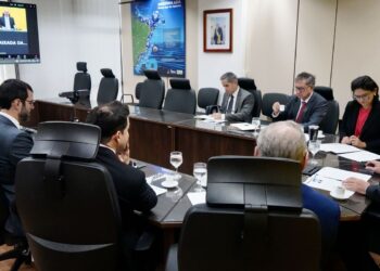 Alckmin e ministro chinês tratam de comércio em videoconferência