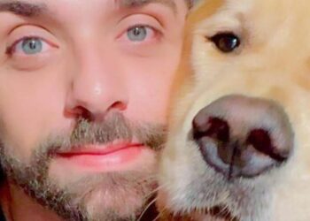 Após caso Joca, Senado aprova regras para transporte aéreo de animais