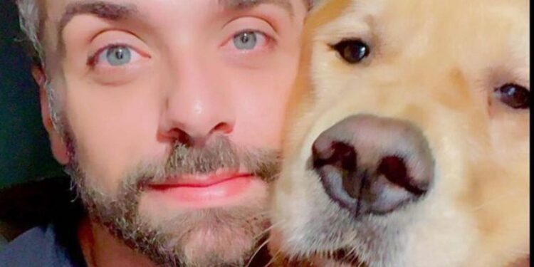 Após caso Joca, Senado aprova regras para transporte aéreo de animais