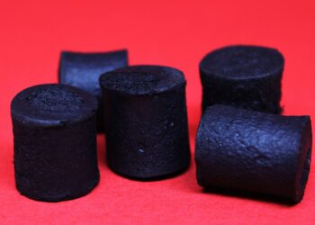 Bagaço de cana vira embalagem ecológica para equipamentos eletrônicos