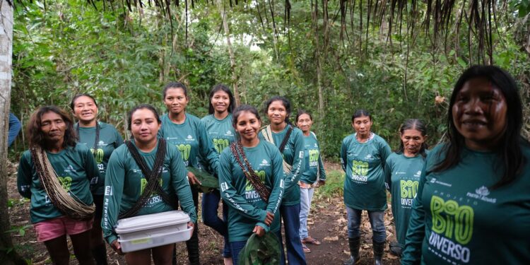 Projetos sustentáveis trazem renda para mulheres Rikbaktsa