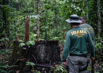 CMA analisa emenda que estende porte de arma a todos fiscais ambientais — Senado Notícias
