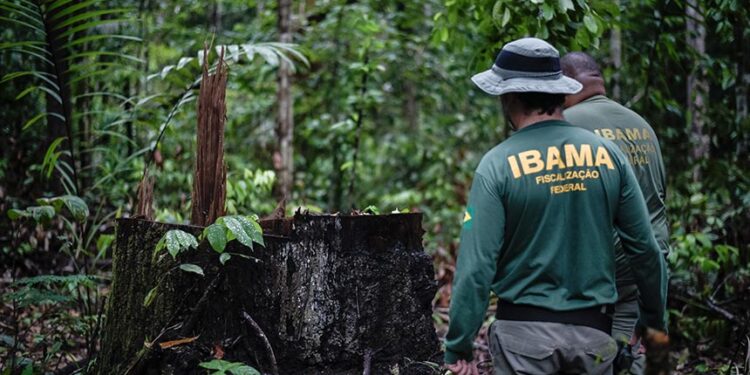 CMA analisa emenda que estende porte de arma a todos fiscais ambientais — Senado Notícias