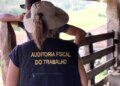 Lista suja do trabalho escravo tem 155 novos empregadores incluídos