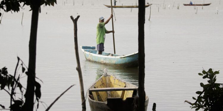 Negligência do Estado afeta 3,2 mil famílias de pescadores artesanais