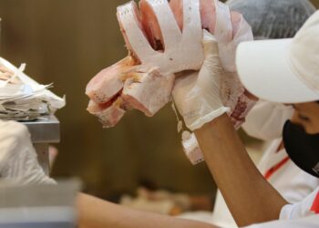 Santa Feira do Peixe começa nesta terça-feira em São Paulo