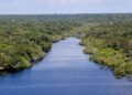 Nova etapa do projeto Restaura Amazônia é lançado durante ATL