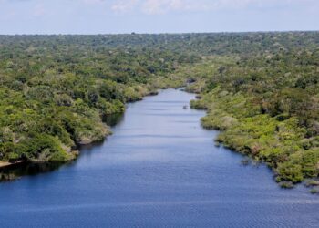 Nova etapa do projeto Restaura Amazônia é lançado durante ATL
