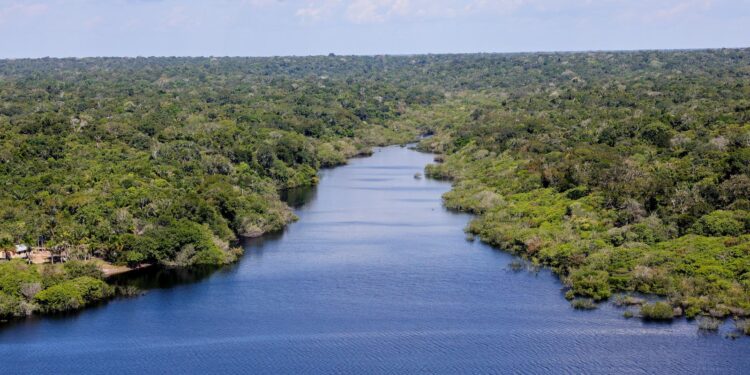 Nova etapa do projeto Restaura Amazônia é lançado durante ATL