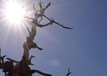 CMN prorroga financiamentos do Fundo Constitucional do Nordeste