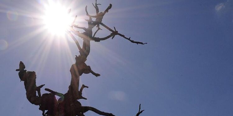 CMN prorroga financiamentos do Fundo Constitucional do Nordeste