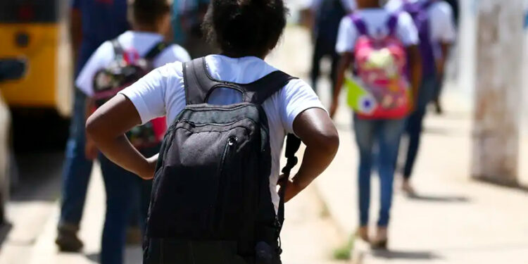 CE discute participação social no Plano Nacional de Educação — Senado Notícias