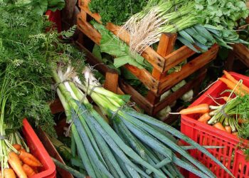 Custo de cesta básica ideal para uma pessoa chega a R$ 432 em abril