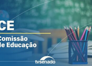 Comissão debate relações étnico-raciais no âmbito do PNE – 7/5/25 — Senado Notícias