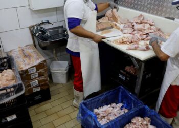 Prazo de 28 dias para Brasil ficar livre da gripe aviária começa hoje