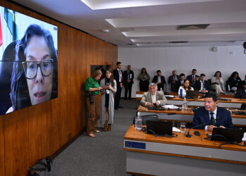 Indicada para embaixada do Brasil em Granada é aprovada pela CRE — Senado Notícias