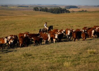 PIB cresce 1,4% no 1º trimestre em relação ao 4º trimestre de 2024