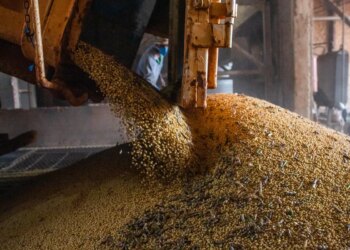 PIB atinge patamar recorde pelo 14º trimestre seguido