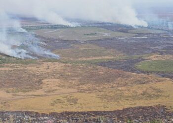 Amazônia: alerta de desmatamento cresce e mobiliza governo