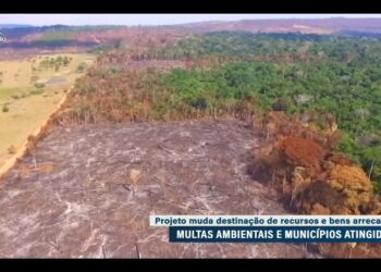 CMA debate divisão de multa ambiental com município onde ocorrer o dano — Senado Notícias