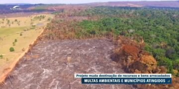 CMA debate divisão de multa ambiental com município onde ocorrer o dano — Senado Notícias