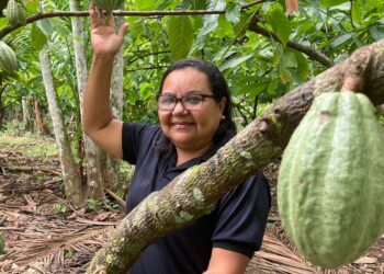 Potencial para bioeconomia atrai investimentos na Amazônia